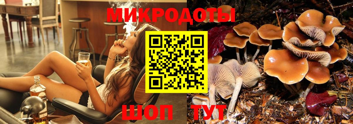 Псилоцибиновые грибы GOLDEN TEACHER  Вход с VPN  даркнет сайт  Котельники 